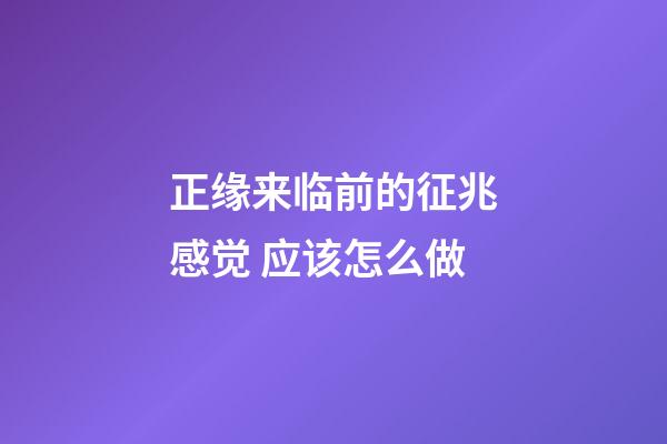 正缘来临前的征兆感觉 应该怎么做
